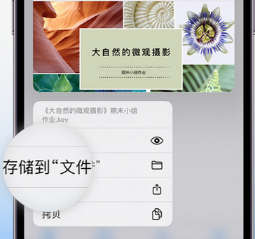 达州apple维修中心分享iPhone文件应用中存储和找到下载文件