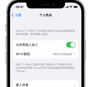 达州apple服务站点分享iPhone上个人热点丢失了怎么办 