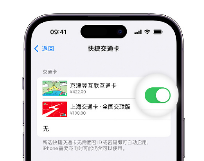 达州apple维修点分享iPhone上更换Apple Pay快捷交通卡手绘卡面 