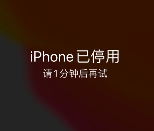 达州苹果手机维修分享:iPhone 显示“不可用”或“已停用”怎么办？还能保留数据吗？ 