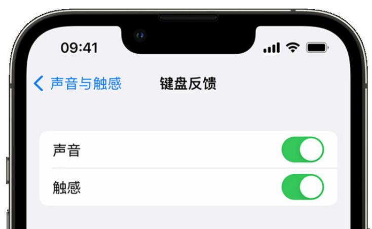 达州苹果手机维修分享iPhone 14触感键盘使用方法 