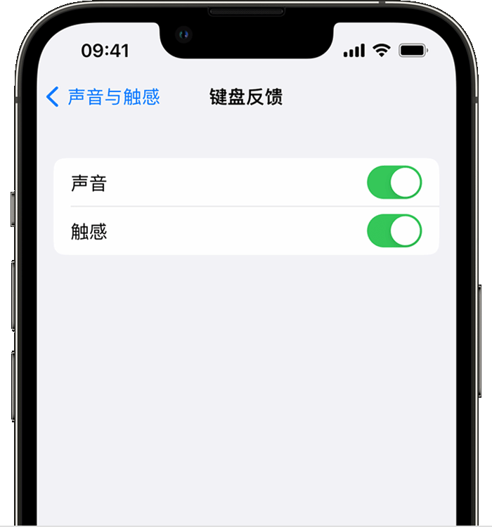 达州苹果14维修店分享如何在 iPhone 14 机型中使用触感键盘 