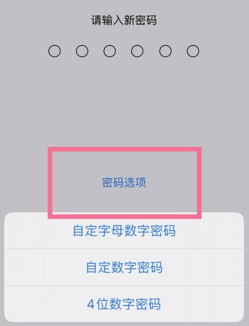 达州苹果14维修分享iPhone 14plus设置密码的方法 