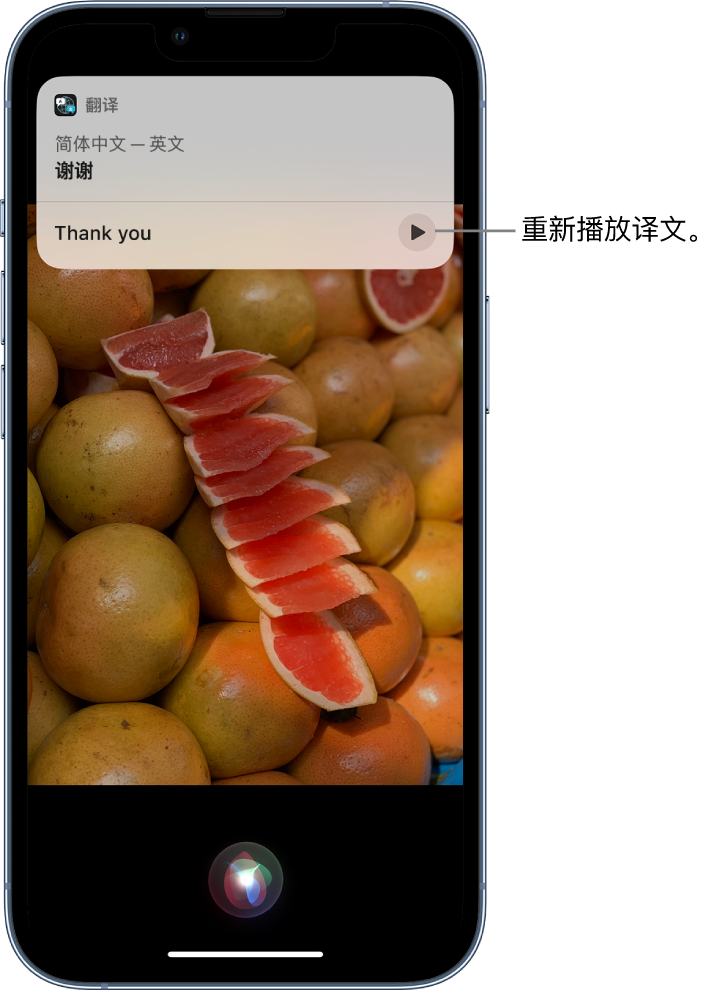 达州苹果14维修分享 iPhone 14 机型中使用 Siri：了解 Siri 能帮你做什么 