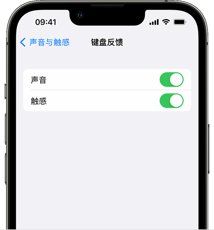 达州苹果14维修分享iPhone 14 系列机型如何开启键盘声音或触感反馈 