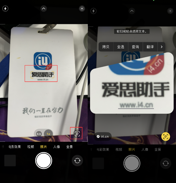达州苹果手机维修分享升级iOS 16后如何通过相机翻译文本 