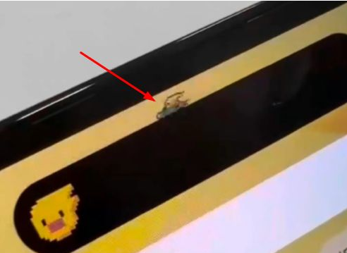 达州苹果14维修分享iPhone 14 Pro Max灵动岛怎么养宠物 