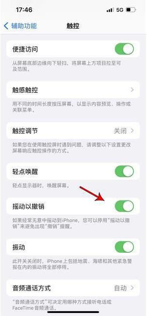 达州苹果手机维修分享iPhone手机如何设置摇一摇删除文字 