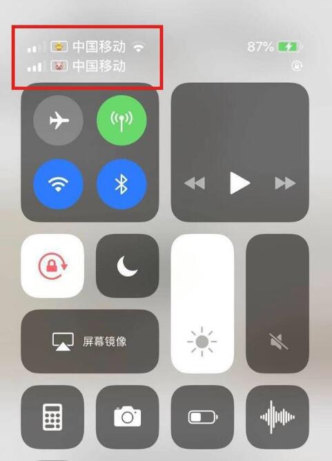达州苹果手机维修分享为 iPhone 12 双卡设置标签 